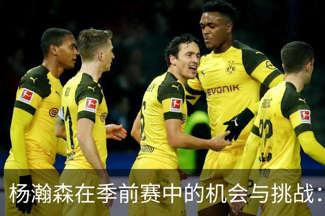 杨瀚森在季前赛中的机会与挑战：表现尚可却未尽全力